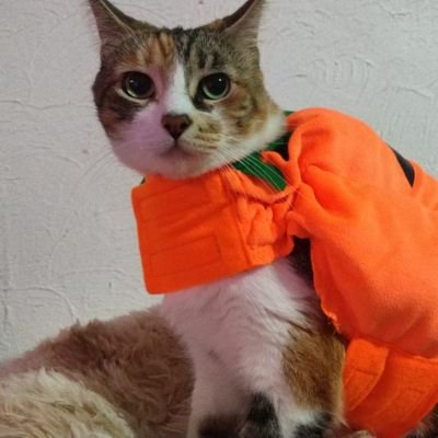 DhanielleEsc's profile picture. UwU