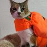DhanielleEsc's profile picture. UwU