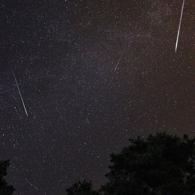 Ayane_niko's profile picture. 