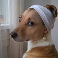 Stephanie (@dark_stephx) 's Twitter Profile