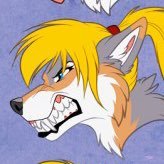 She/Her |💍 @_wolfish | 🕶️OG SilverHusky SeaBreezeDutchie | Not active ➡️🦋