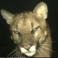 ؘ (@kmila________) 's Twitter Profile