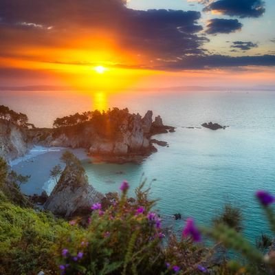 Engagé pour la justice sociale et climatique 🌍🌻Social-démocrate - Centre Gauche #AmiDesAnimaux #Bretagne #Diplomatie #UnionEuropéenne 🇪🇺 🇨🇵