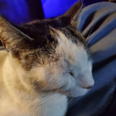 SteveMatth97130's profile picture. 