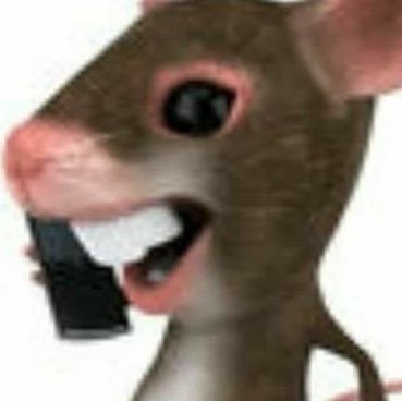 julinhinhas's profile picture. sou fã de apenas 3 homens jesus cristo jimmy page e meu namorado