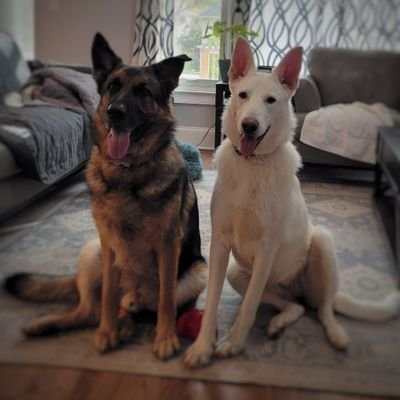 cobralou27's profile picture. 