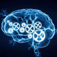 Cazual intellekt (@cazualintellekt) 's Twitter Profile