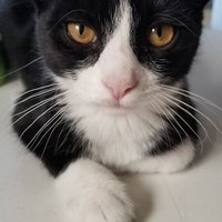 Michael (@literallymikeb) 's Twitter Profile
