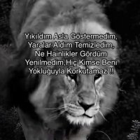 bufsem (@bufsem82658) 's Twitter Profile