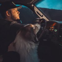 bigbaldheaded (@browndakota287) 's Twitter Profile