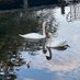 Steve (@steve5846196791) Twitter profile photo Steve (@steve5846196791) Twitter profile photo