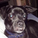 mallory newman - @mouzernews - Twitter