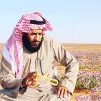 كاسب الشمري (@865872k) 's Twitter Profile Photo