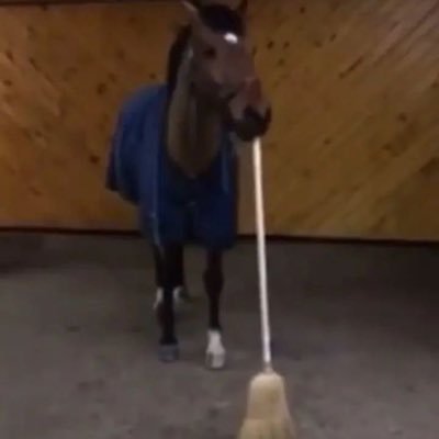 Haisuloom3's profile picture. 