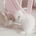 Bunny 🎀 (@ssbabybunny) Twitter profile photo Bunny 🎀 (@ssbabybunny) Twitter profile photo