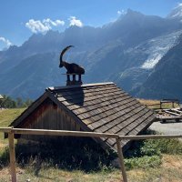 Kontra (@kontrainvest) 's Twitter Profile Photo