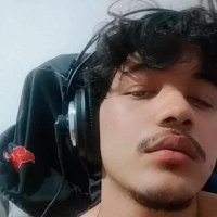 PingUu (@vettinmemo) 's Twitter Profile