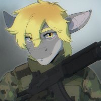 Karat (@cudo_333) 's Twitter Profile
