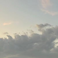 Su (@fr0hn00) 's Twitter Profile Photo