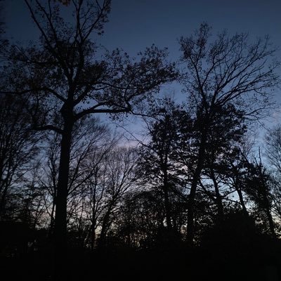 rtway_rebuild's profile picture. Husband, proud father of 1 and Conservative. Love shooting, fishing, creativeness.🇧