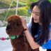 Grace (@grace88281) Twitter profile photo Grace (@grace88281) Twitter profile photo