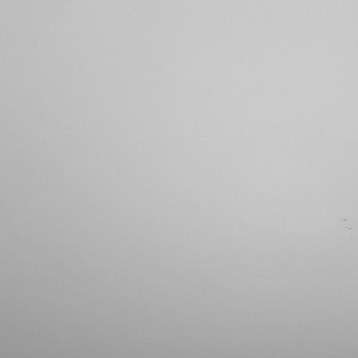 nrlord's profile picture. See you on Bsky.