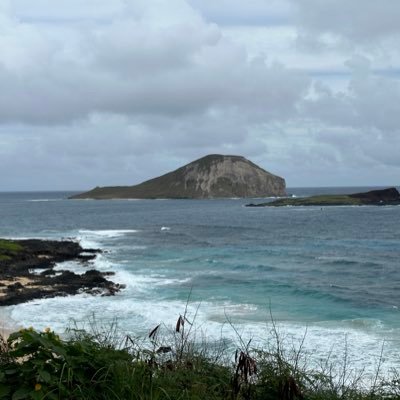 hungtxdude's profile picture. ❤️2🌬️💨on uncut🥳🥩