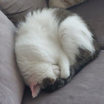 Kenzoryyy's profile picture. queda poco para el apocalipsis