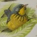 Steph Thorpe 🎨 ✏️ 💙 (⧖) (@stephbirdart) Twitter profile photo Steph Thorpe 🎨 ✏️ 💙 (⧖) (@stephbirdart) Twitter profile photo
