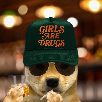 Literally a dog wif a hat