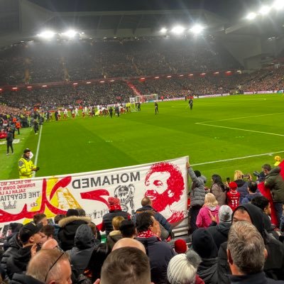 NoahQuigley7's profile picture. 