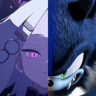 Sonic Unleashed and Blue Archive fan.
Shikanokonokonokokoshitantan