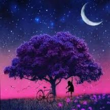 AhadAl640680's profile picture. "وعند الله استودعت مُستقبلي وعنده لن يٌخيب ظني".
