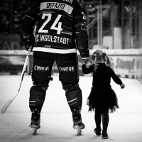 Brandon DeFazio (@defabio24) 's Twitter Profile