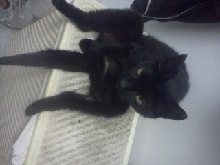 susan4lyfe's profile picture. #WWSD #SUSAN4LYFE I'm HBIC. IM ON THE ROAD TO BECOMING A SUPERSTAR!