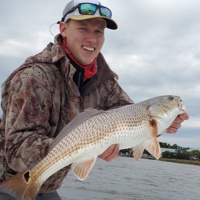 HokieHeups's profile picture. VT'15 

#Hokies 

Beaufort, SC