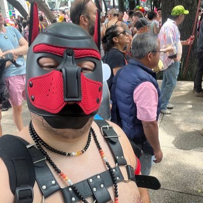 Saludos desde la ciudad de las Montañas cuenta nueva🤠⛰️🐾🐶 #bear #puppy #polar