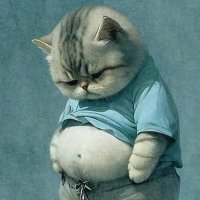 natashaR (@f_nutsr) 's Twitter Profile