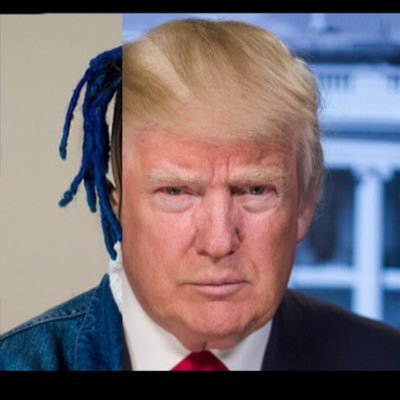 SamShortsStocks's profile picture. My name is Sam and I short shit companies