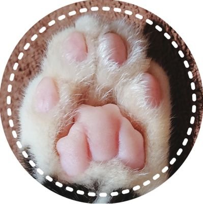 😻猫好き R6-10-7生まれ くま♂️うさ♀️・R4-11-16ハルマ♂10歳2ヶ月🌈👼・R6-3-26スズ♀22歳10ヶ月🌈👼•R6-9-18トラコ♀21歳3ヶ月🌈👼・🎧変態紳士クラブ🎧motivate life word・📱🌸写真・宜しくお願いします。