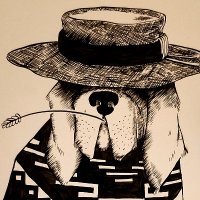 Dog with No Name🟠🌵 (@stateofitall) 's Twitter Profile