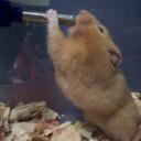 calla reed - @tvradioo - Twitter