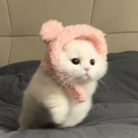 miu子 (@miu_0138) 's Twitter Profile