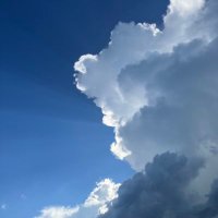 とても楽しい日々 (@0209osakesuki) 's Twitter Profile Photo