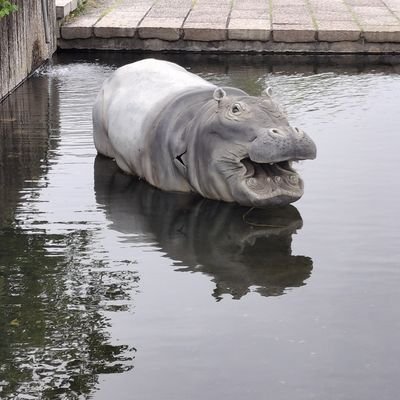 TOMOKI35948735's profile picture. 浅い三国志好き。勉強はとても苦手です…。コーエー三國志とかの話。