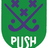 BHVPush's profile image