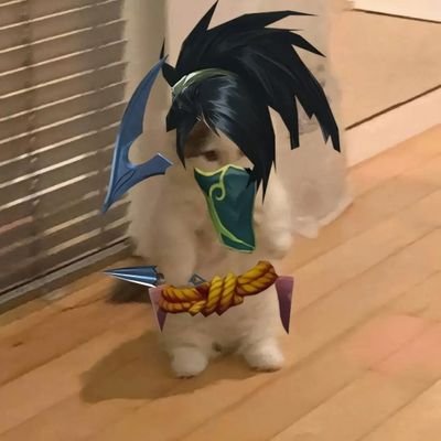 Eduardo_M_Blink's profile picture. 