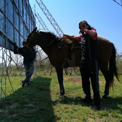 MiguelLlanos_19's profile picture. 