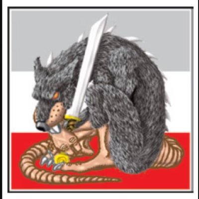 The 11th legion of vega
The Dragons best worst case and the fastest rat in the race.