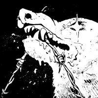 BITWVLF (@bitwvlf) 's Twitter Profile